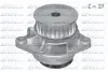 Водяний насос Caddy II/Caddy III/Octavia/Golf IV/V/Fabia/Polo 1.4i/2.0TDI 98- (24z. крил 8) A191