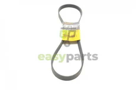 Ремінь генератора Fiat Ducato 2.0JTD 01- (ALT) Contitech 6PK1180