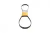 Ремінь генератора Citroen Jumper 2.0-2.2HDi 02-06/C4/C5/C8 2.0 16V 01-/VW T5/T6 2.0TSI 12-19 Contitech 6PK1185 (фото 1)