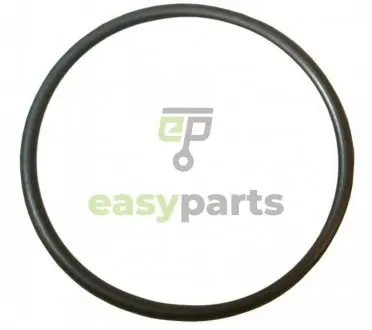 Прокладка флянця сист. охолодження Caddy 03- 1.9/2.0 SDI/TDI/T5 1.9 TDI JP GROUP 1119606400