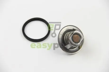 Термостат Ford Fiesta IV/Focus 1.4/1.6i 16V 97-12 (82 C) (jiggle-pin) MOTORAD 202-82J