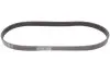 Ремінь генератора VW Golf III/IV/Bora/Skoda Octavia 1.9TDI/SDI 98-10/Mitsubishi Mirage 1.0/1.2 12- Contitech 6PK906 (фото 1)