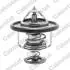 Термостат Hyundai H-1/Terracan 2.5-2.9 97-07 (82C) Vernet TH6840.82J (фото 1)
