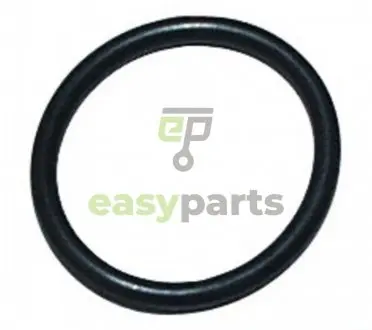Прокладка маслозливної пробки Astra F/G/H/J/Vectra B (18мм) JP GROUP 1213850300