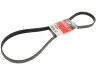 Ремінь генератора Citroen Berlingo/Peugeot Partner 1.6HDI (-AC) ch.10571- Gates 6PK1368 (фото 4)