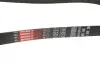 Ремінь генератора Citroen Berlingo/Peugeot Partner 1.6HDI (-AC) ch.10571- Gates 6PK1368 (фото 5)