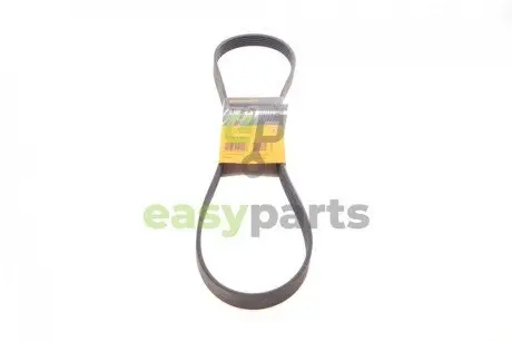 Ремінь генератора Citroen Jumper/Fiat Ducato 2.0/2.2HDi/JTD 02- Contitech 6PK1173