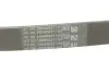 Ремінь генератора MB OM601/602 (-PS) Contitech 6PK1000 (фото 1)