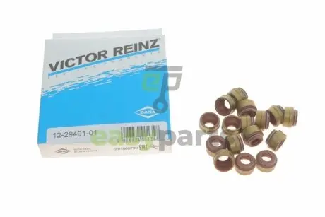 Сальник клапана (впуск/випуск) MB Sprinter 901-906/Vito (W638/639) 2.2CDI (к-кт 16шт) VICTOR REINZ 12-29491-01