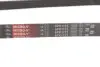 Ремінь генератора Citroen Jumper/Fiat Ducato 2.0/2.2HDi/JTD 02- Gates 6PK1173 (фото 4)