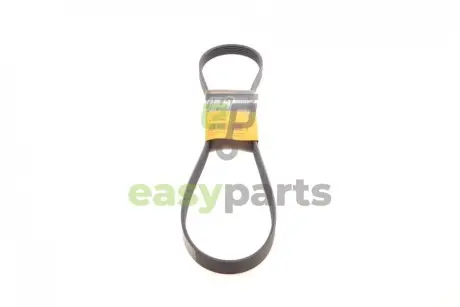Ремінь генератора Renault Kangoo/Logan/Scenic/Talisman 1.4/1.5 dCi/1.6 03-/Mazda 3/CX-3 1.5/1.8D 15- Contitech 6PK1200