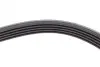Ремінь генератора VW Passat B5/Audi A4/A6 1.9TDI 98-05/Skoda Superb 1.9/2.0TDI 01-08 Contitech 5PK1432 (фото 1)
