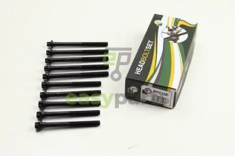 Болти головки блоку Kangoo/Logan/Clio/Megane/Sandero 1.4/1.6 96- BGA BK6318