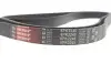 Ремінь генератора MB W202/211 2.0/2.2/2.7CDI Gates 6PK2245 (фото 4)