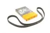 Ремінь ГРМ Fiat Doblo/Ducato 2.0D 10-/Combo/Insignia/Astra/Vectra 1.9/2.0 04-15 (199x24) CT1105