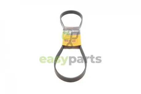 Ремінь генератора VW Crafter 2.0TDI 11-16/Golf 1.4/1.6 97-05/Audi A1/A2/A4 1.4-2.0 01-18 Contitech 6PK1080