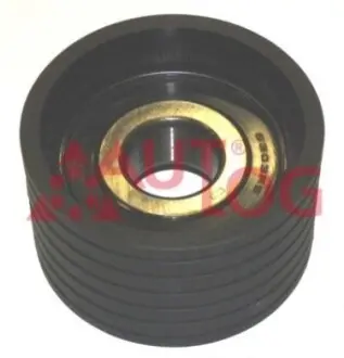 Ролик направляющий ГРМ Megane/Laguna/Scenic/Trafic 2.0i 01- AUTLOG RT1356