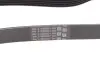 Ремінь генератора VW T4/Caddy 1.9D/TD 90-03/Toyota Corolla/Auris 1.4D 06-14/Kia Rio 1.25 17- Contitech 6PK923 (фото 1)