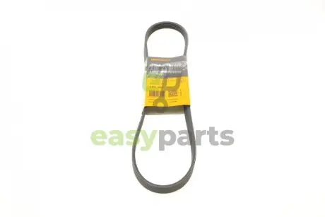Ремінь генератора Fiat Ducato 1.9D/TD/Peugeot 106 1.5D 94-04/Mitsubishi Lancer/Space Star 1.3 98-04 Contitech 5PK962
