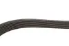 Ремінь генератора Toyota Camry/Avensis/RAV4 2.0/2.4 00-/Land Cruiser Prado 3.0D 00- Gates 7PK1933 (фото 4)
