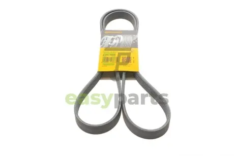 Ремінь генератора Fiat Scudo/Citroen Berlingo/VW Golf Contitech 6PK1660