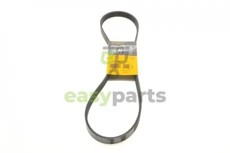 Ремінь генератора Citroen Jumper 1.9TD 94-02 (ALT,PS) Contitech 6PK1130