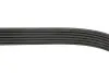 Ремінь генератора MB W202/210 M112/113 97- (WP,PS) Gates 6PK2315 (фото 3)