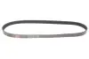 Ремінь генератора VW Caddy 1.9D/SDI -03 (WP,TP) Gates 6PK1038 (фото 1)