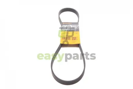 Ремінь генератора Skoda Fabia 1.4TDi 03-10/Citroen Jumper/Fiat Ducato 2.8HDi/JTD 00- (ALT,WP) Contitech 6PK995