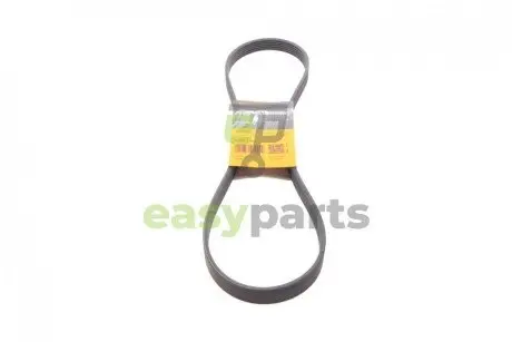 Ремінь генератора Fiat Ducato/Citroen Jumper 1.9D/TD 94-/Renault Trafic 2.5dCI 03- Contitech 6PK1153