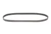 Ремінь генератора VW Caddy/T5 1.9TDI Gates 6PK1138 (фото 4)