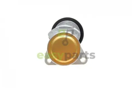 Натяжник ременя генератора Ford Mondeo 00-15 INA 534 0128 20