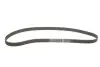 Ремінь ГРМ Chevrolet Captiva 2.4 06-/Opel Omega B/Frontera 2.2i 98- Gates 5461XS (фото 2)