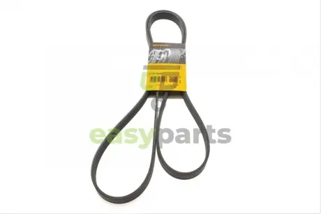 Ремінь генератора MB C-class (W202) 93-01/E-class (W124) 93-98/Ssangyong Korando 96-06/Dodge 06- Contitech 6PK2040