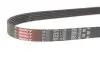 Ремінь генератора Citroen Jumper 1.9TD 94-02 (ALT,PS) Gates 6PK1130 (фото 2)