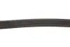 Ремінь генератора Citroen Jumper 1.9TD 94-02 (ALT,PS) Gates 6PK1130 (фото 3)