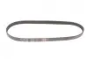 Ремінь генератора Citroen Jumper/Fiat Ducato 2.8HDi/JTD 00- (ALT,WP) Gates 6PK995 (фото 4)