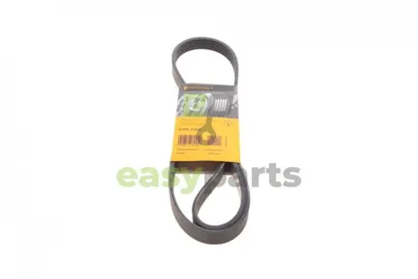 Ремінь генератора Citroen Jumper/Peugeot Boxer 3.0HDI Contitech 6PK1165