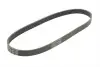 Ремінь генератора Citroen C4/C5 14-/Renault Kangoo/Clio 1.9D 97-/VW Passat B3/B4 88-97/Sharan 95-10 Contitech 6PK894 (фото 1)