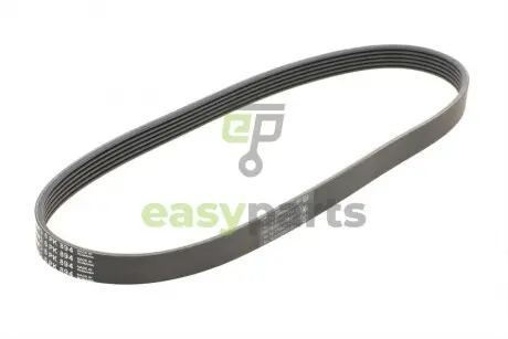 Ремінь генератора Citroen C4/C5 14-/Renault Kangoo/Clio 1.9D 97-/VW Passat B3/B4 88-97/Sharan 95-10 Contitech 6PK894