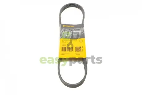 Ремінь генератора Smart Fortwo 0.8CDI 04- Contitech 5PK768