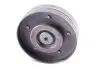 Ролик генератора Audi A4/A5/A6/Q5/VW Amarok/Multivan V/T5 1.8-2.0 07- (паразитний) (90x25) INA 532 0694 10 (фото 1)