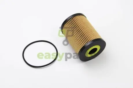 Фильтр масляный Master/Movano/Mascott 3.0dCi CLEAN FILTERS ML4519