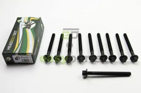 Болти головки блоку Master/Trafic 2.5dCi 00- (к-кт) BGA BK3357