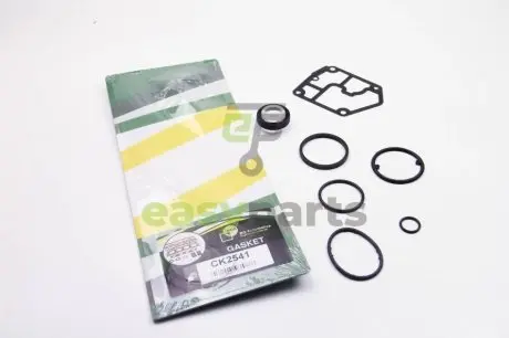 Комплект прокладок VW Caddy/Golf 2.0 D 03- (нижній) BGA CK2541