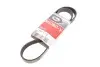 Ремінь генератора Citroen Jumper/Peugeot Boxer 3.0HDI 03- Gates 6PK1163 (фото 1)