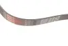 Ремінь генератора Citroen Jumper/Peugeot Boxer 3.0HDI 03- Gates 6PK1163 (фото 2)