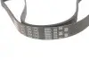Ремінь генератора VW Golf/BMW/Ford/Opel Gates 6PK1540 (фото 2)