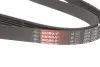 Ремінь генератора VW Golf/BMW/Ford/Opel Gates 6PK1540 (фото 3)