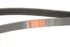 Ремінь генератора Peugeot 206/Partner/Citroen Berlingo/VW Polo 1.1-1.6 02- Gates 6PK1453 (фото 5)